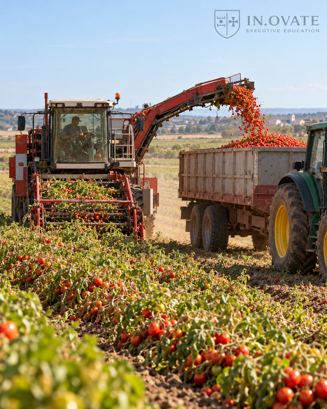 Cadeia Agroalimentar, Floresta e Sustentabilidade